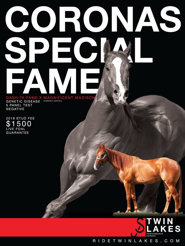 corona Special Fame Brochure