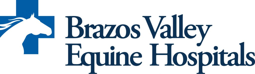 brazos valley equine center logo