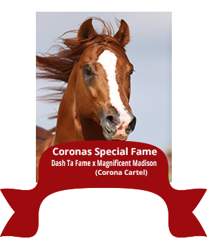 coronas special fame